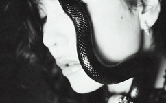 原来是美男全集下载